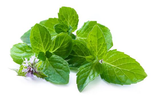 Piparmētru lapas Nicode aerosolā